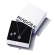 Kép 6/6 - Pandora Északi Sarkcsillag medálos nyaklánc - 393600C01-45