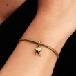 Kép 4/5 - Pandora tengeri csillag dupla függő charm - 763892C01