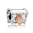 Kép 1/4 - Pandora CLUB charm 2019 - 787792D