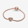 Kép 5/5 - Pandora szikrázó összefonódó szívek charm - 789270C01