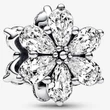 Kép 1/5 - Pandora szikrázó herbárium charm - 792623C01