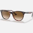 Kép 1/5 - Ray-Ban napszemüveg - RB2185-133451-55 - Wayfarer II Fleck