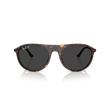 Kép 2/4 - Ray-Ban napszemüveg - RB2215-902/48 - 