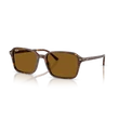 Kép 1/4 - Ray-Ban napszemüveg - RB2231-141833 - Raimond