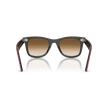 Kép 4/4 - Ray-Ban napszemüveg - RB2240-955/51 - Wayfarer