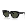 Kép 1/4 - Ray-Ban napszemüveg - RB2286-901/31 - Doreen