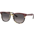 Kép 1/4 - Ray-Ban napszemüveg - RB2398-1377M3 - Eagleeye