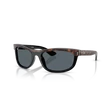 Kép 1/4 - Ray-Ban napszemüveg - RB2489-1441R5 - Balorama