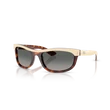 Kép 1/4 - Ray-Ban napszemüveg - RB2489-144371 - Balorama
