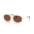Kép 1/4 - Ray-Ban napszemüveg - RB3719-001/C5 - 