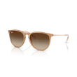 Kép 1/4 - Ray-Ban napszemüveg - RB4171-681413 - Erika