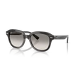 Kép 1/4 - Ray-Ban napszemüveg - RB4398-140432 - Erik