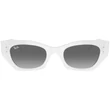Kép 2/4 - Ray-Ban napszemüveg - RB4430-675911 - Zena