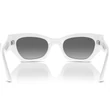 Kép 4/4 - Ray-Ban napszemüveg - RB4430-675911 - Zena