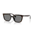 Kép 1/4 - Ray-Ban napszemüveg - RB4439D-710/87 - 