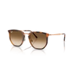 Kép 1/4 - Ray-Ban napszemüveg - RB4451-680451 - 