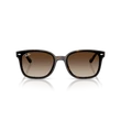 Kép 2/4 - Ray-Ban napszemüveg - RB4461D-710/13 - 