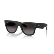 Kép 1/4 - Ray-Ban napszemüveg - RB4840S-601ST3 - 