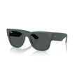 Kép 1/4 - Ray-Ban napszemüveg - RB4840S-665787 - 