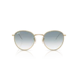 Kép 2/4 - Ray-Ban napszemüveg - RBR0103S-001/79 - Round Reverse