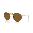 Kép 1/4 - Ray-Ban napszemüveg - RBR0103S-001/83 - Round Reverse