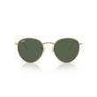 Kép 2/4 - Ray-Ban napszemüveg - RBR0103S-001/VR - Round Reverse