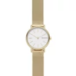 Kép 1/2 - Skagen női óra - SKW2693 - Signatur