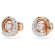 Kép 3/5 - Swarovski Dextera fülbevaló - 5692258