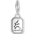 Kép 2/2 - Thomas Sabo Vízöntő csillagjegy charm - 2143-643-21