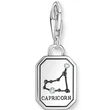 Kép 2/2 - Thomas Sabo Bak csillagjegy charm - 2152-643-21
