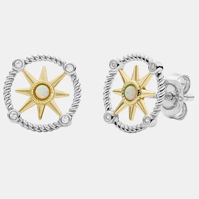 Fossil fülbevaló - JFS00574998