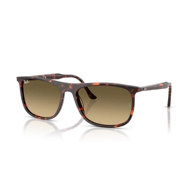 Ray-Ban napszemüveg - RB2216-14290A - 