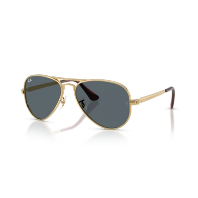 Ray-Ban napszemüveg - RB3925-001/R5 - Aviator Max