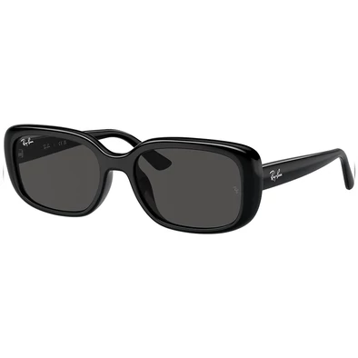 Ray-Ban napszemüveg - RB4421D-667787 - 