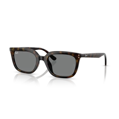 Ray-Ban napszemüveg - RB4439D-710/87 - 