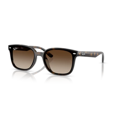 Ray-Ban napszemüveg - RB4461D-710/13 - 