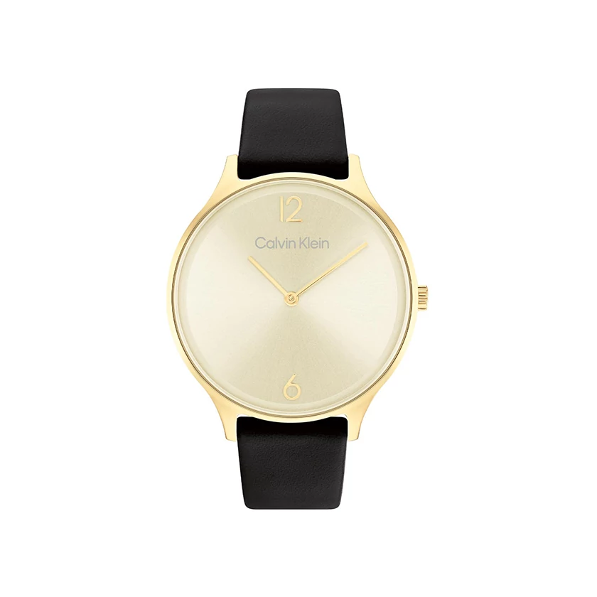 Calvin Klein női óra  - 25200008 - Timeless 2H