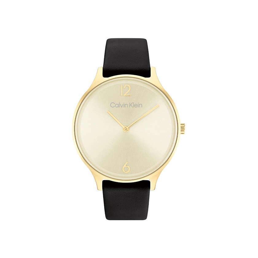 Calvin Klein női óra - 25200008 - Timeless 2H