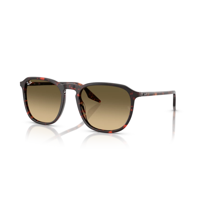 Ray-Ban napszemüveg - RB2203-14290A - 