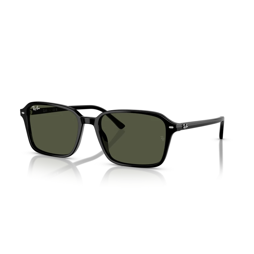 Ray-Ban napszemüveg - RB2231-901/31 - Raimond